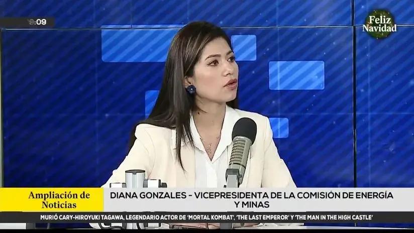 Diana Gonzales advierte tráfico de Reinfo y defiende decisión de excluir a 50 mil mineros del proceso