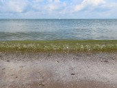 It was mild bloom year on Lake Erie, but upstream challenges persist