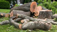 Make Use Of Tree Logs With A Backyard DIY That's Great For Hosting