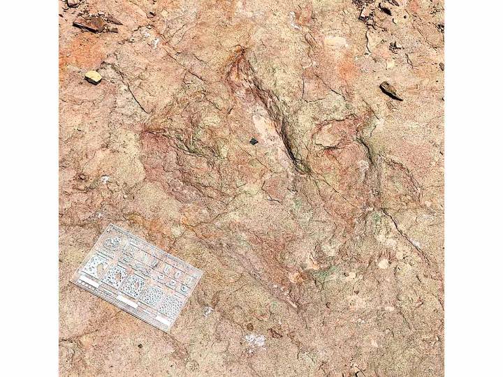 INAH: Descubren pisadas de dinosaurios en la zona de Tehuacán, Puebla
