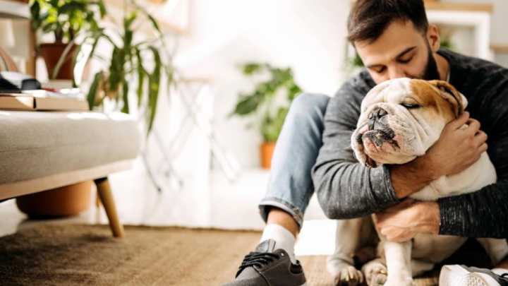 ¿Por qué dicen que los perros no deben dormir en el piso? Veterinaria revela los riesgos para las mascotas