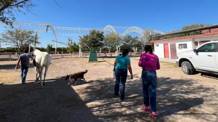 Coahuila avanza en combate de desigualdades; se reduce pobreza extrema en dos años