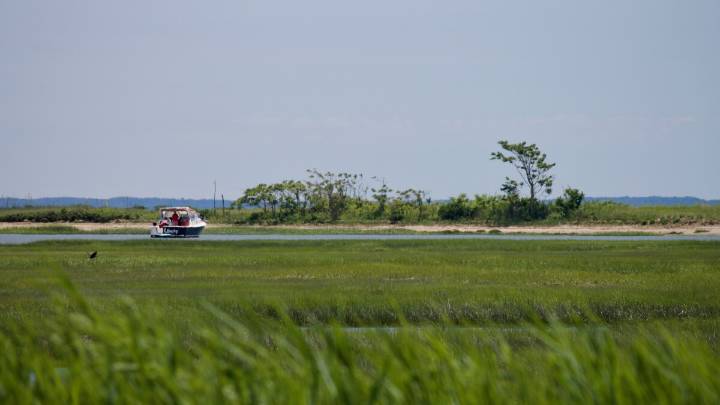 New grants to fund dozens of Long Island Sound watershed restoration projects