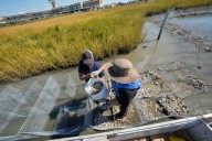 Louisiana is shrinking. Some tribes are fighting to protect what’s left of their communities