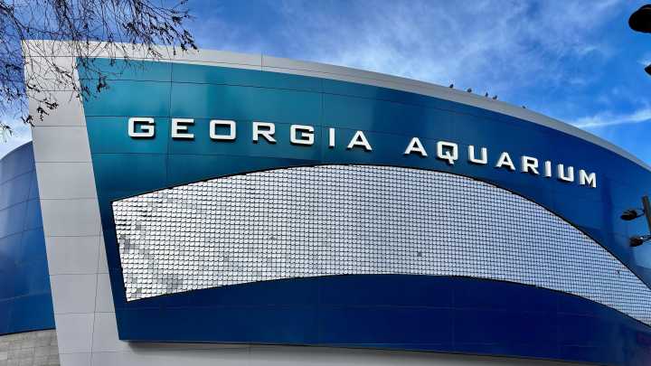 Georgia's slowing economy expected to continue into 2026, experts say