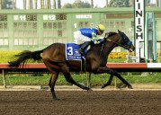 Litmus Test gives Bob Baffert his 15th Los Alamitos Futurity