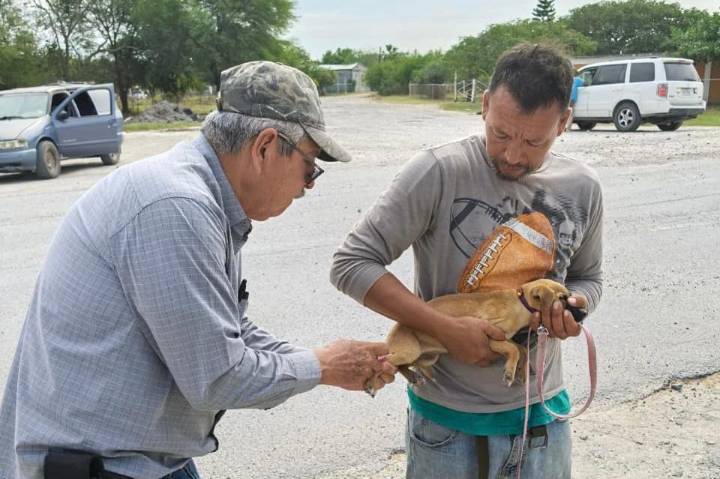 Realiza SST campaña preventiva para la detección de rickettsiosis
