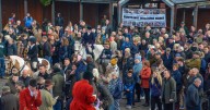 Tiverton hunt row reignites as MP urged to back Boxing Day ban
