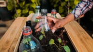 El truco con botellas recicladas para cultivar verduras y tener una mini huerta en casa