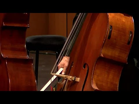 Celebrating Hanukkah with Charlotte Symphony Orchestra