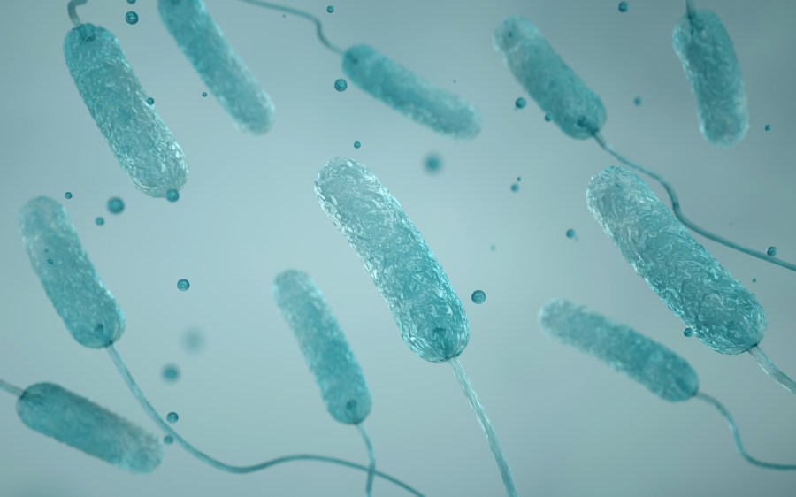 14 sickened in Legionnaires' disease outbreak linked to central Florida gym: reports