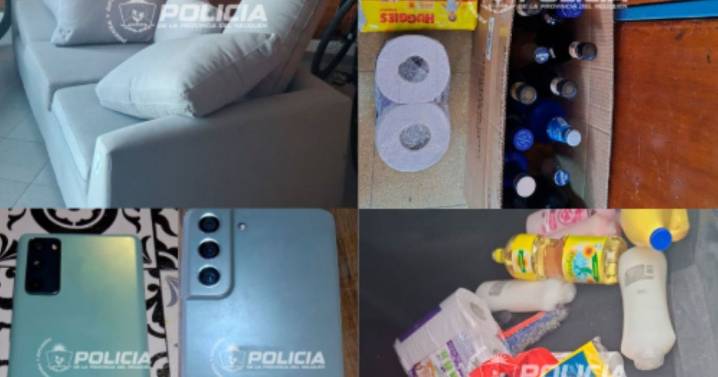 Robaron una billetera e hicieron una tour de compras en Neuquén: tenían desde fernet hasta un sillón