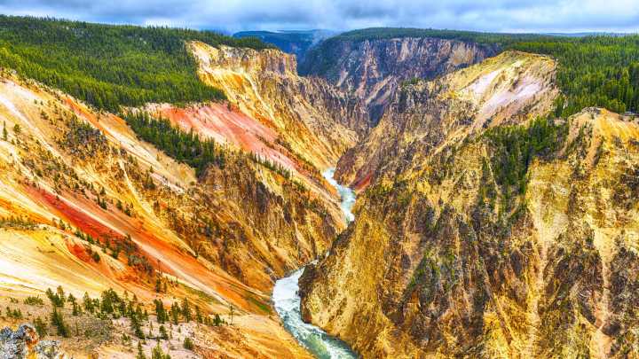 Yellowstone's Peculiar Noise Ban: Why It's Illegal To Make This Specific Sound In The Park