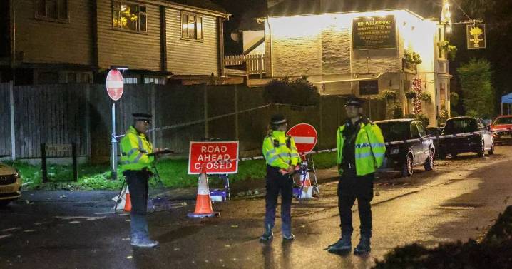 Ewell murder probe launched after man found dead in alley outside pub