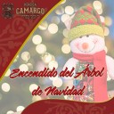 TRADICIONAL ENCENDIDO DEL ARBOL DE NAVIDAD