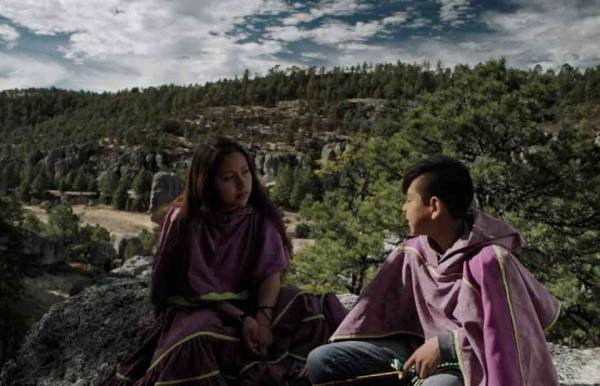 Chihuahua en pantalla