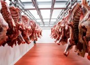 En Jujuy imputaron a una empresa por contrabando millonario de carne a Bolivia