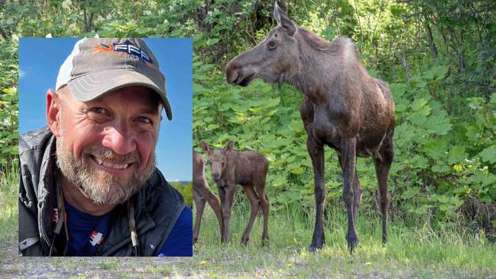 Wyoming Sportsman Group Demands Justice After Trio Accused Of Torturing Moose