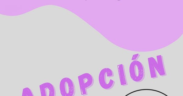 Tiene 15 años y sueña con una familia: una adolescente que vive en Salta espera ser adoptada