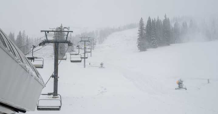 Schweitzer announces plans for partial opening on Wednesday