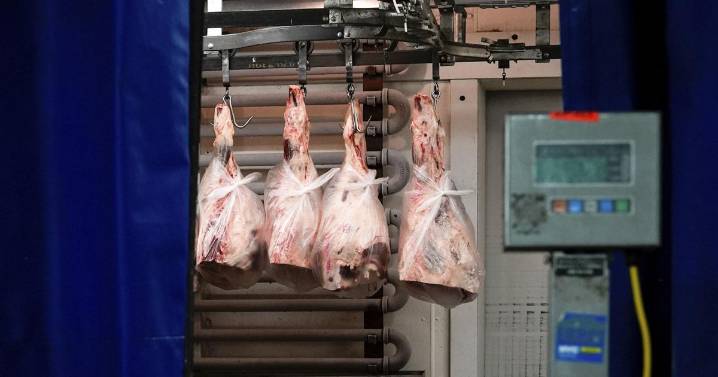 5 things to know about increasing beef prices