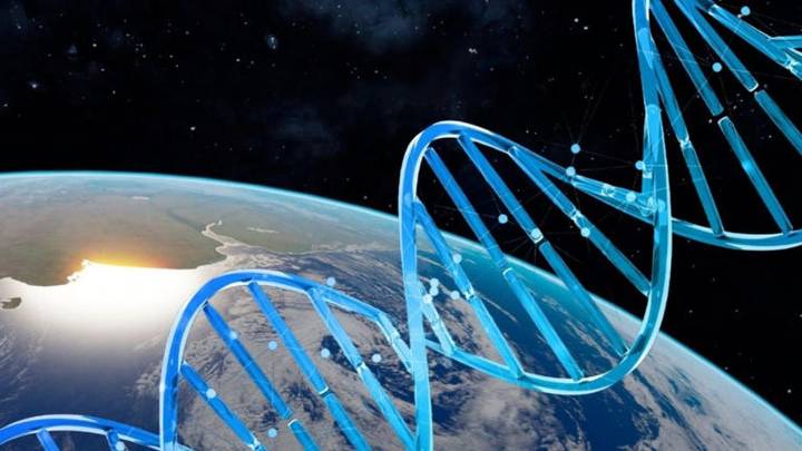 Atribuyen el origen de la especie humana a intervenciones extraterrestres