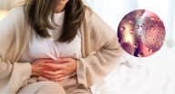 Brotes de gastroenteritis en el mundo: científicos identifican posible causante y encienden las alarmas