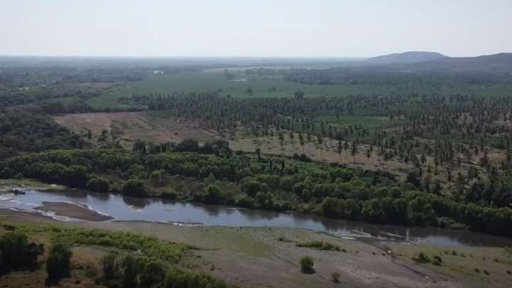 Coahuayana, Territorio que Lleva más de Diez Años en Medio de Conflictos Armados