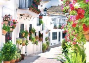 Benalmádena encabeza la previsión de ocupación hotelera para el puente de la Constitución