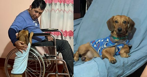 "Devuelvan a Andy": le robaron su perrito a un salteño con discapacidad en B° Norte Grande