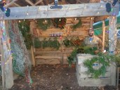 Old-fashioned tree lot brings back customers and memories – Daily Press