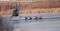 Helicopter pilot helps rescue elk trapped in icy pond