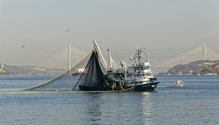 Overfishing in Mediterranean and Black seas hits decade-low but overall sustainability remains concern: Report