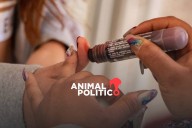 Diputados avalan acuerdo para realizar cuatro foros sobre revocación de mandato