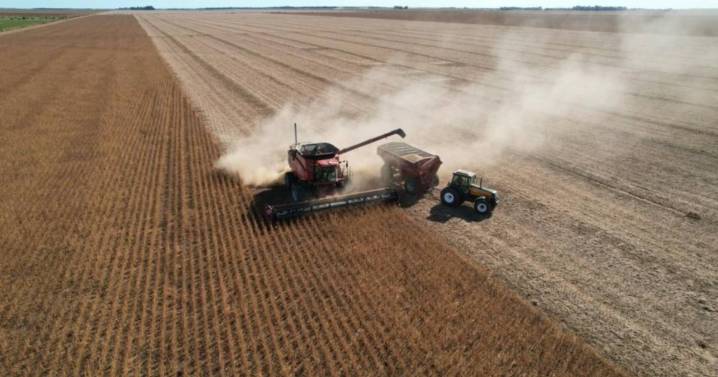 El Gobierno oficializó finalmente la baja de retenciones