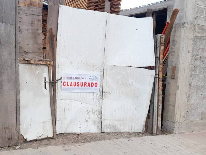 Clausuran aserradero ilegal que operaba en Edomex