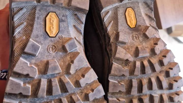 Aragón pide precaución a montañeros y ciclistas porque la peste porcina puede viajar en la ruedas de la bici o las suelas de las botas