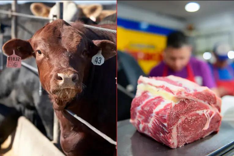 El precio de la carne seguirá subiendo “por falta de hacienda y mayor demanda internacional”