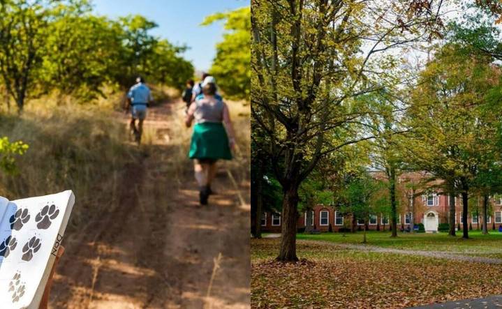 ¿Qué se celebra este 5 de diciembre? Conoce las efemérides del viernes