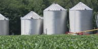 Local soybean farmer reacts to proposed $12 billion farm aid package