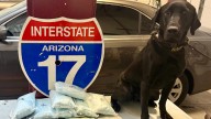 70,000 fentanyl pills found in car during I-17 traffic stop, YCSO says