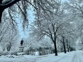How much snow fell in Minnesota during Tuesday's winter storm?
