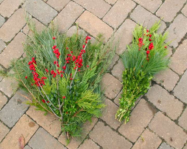 Garden Q&A: Should I avoid cut Nandina berry decor?