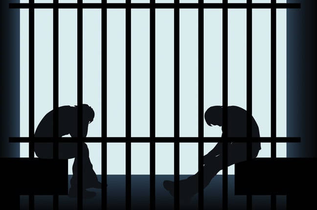 Twin brothers charged with deleting 96 US govt databases • The Register