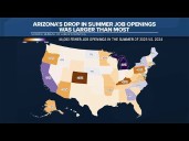 Inside the numbers: Arizona's summer job churn