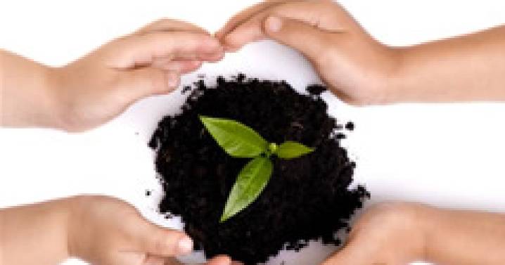 Senado avala Ley de Economía Circular; busca cuidar el medio ambiente