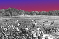 America is its darkest chapters, but not only.