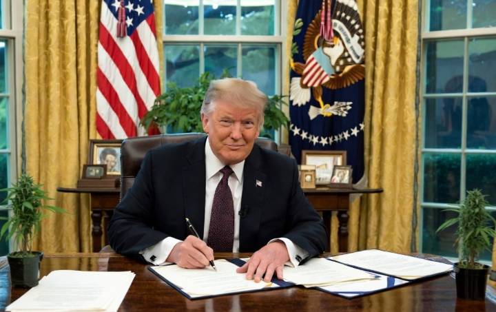 MAGA-juana: Trump poised to reschedule Cannabis, igniting stock surge