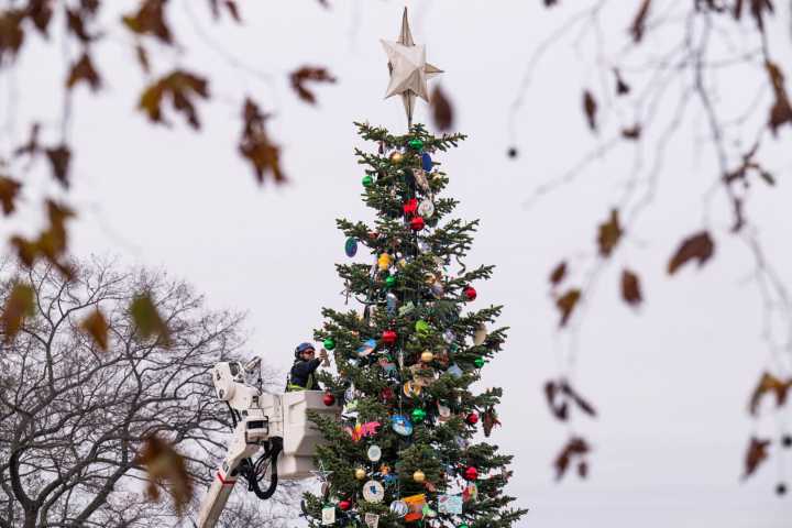 This week: Defense policy bill on the move as Capitol Christmas tree arrives