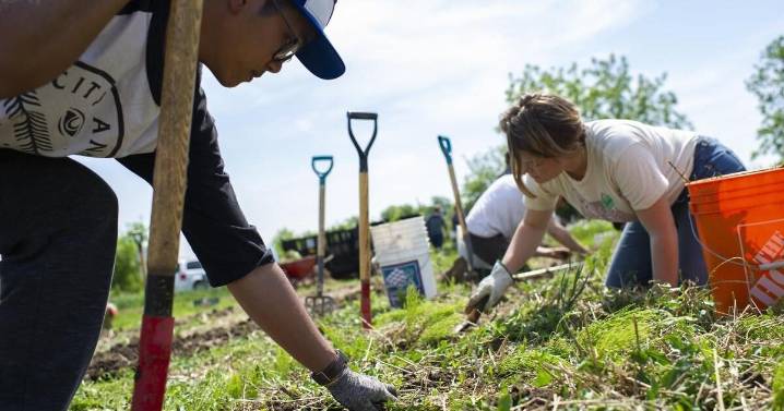 Springbank Farm Hub looking to recover from rash of thefts